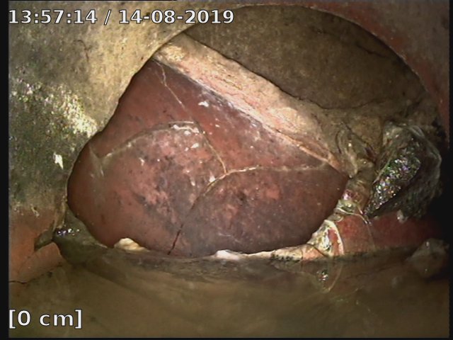 2019-08-14-13-57-15.mp4-thumb Kopie.jpg